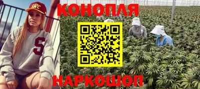 дурь Гатчина