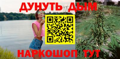 дурь Гатчина