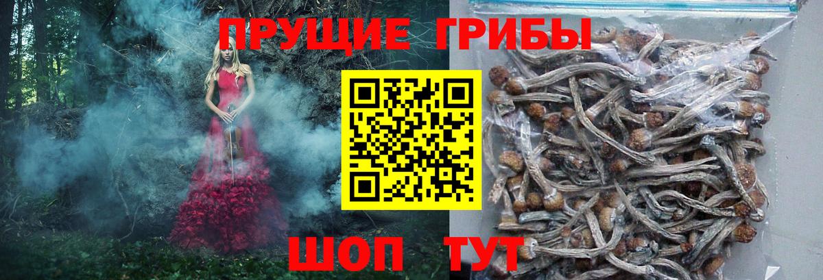 Галлюциногенные грибы Cubensis Нягань